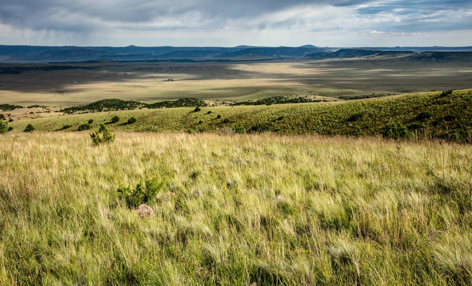 Laughlin Peak Ranch Chas S. Middleton
